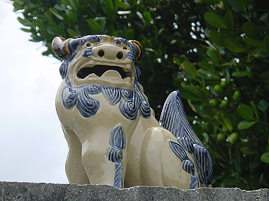 20050829_330_thumb.jpg