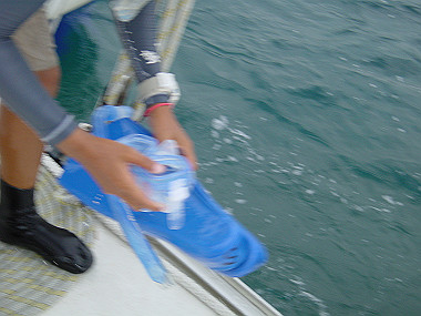 20050829_550_thumb.jpg