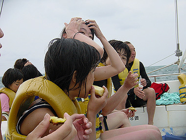 20050829_560_thumb.jpg