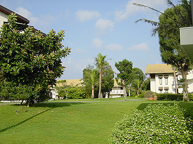 20050830_060_thumb.jpg