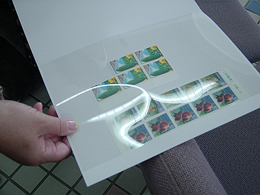 20050830_100_thumb.jpg