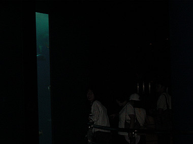 20050830_1010_thumb.jpg