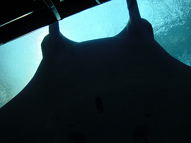 20050830_1260_thumb.jpg