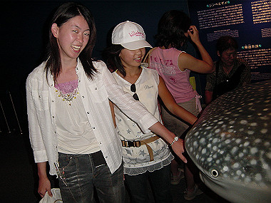 20050830_1280_thumb.jpg