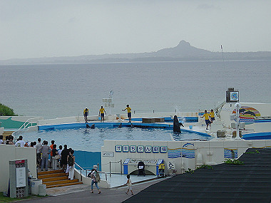 20050830_1300_thumb.jpg