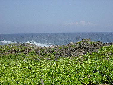 20050830_130_thumb.jpg