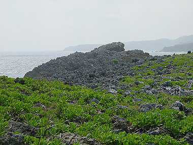 20050830_140_thumb.jpg