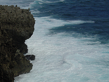 20050830_180_thumb.jpg