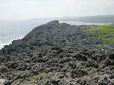 20050830_230_thumb.jpg