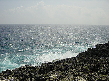 20050830_240_thumb.jpg