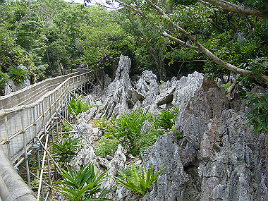 20050830_500_thumb.jpg