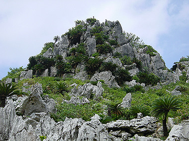 20050830_520_thumb.jpg