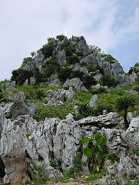 20050830_530_thumb.jpg
