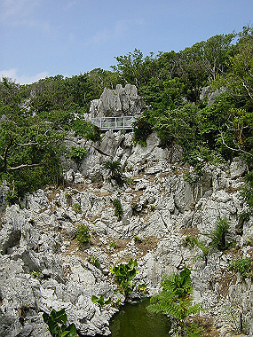 20050830_560_thumb.jpg