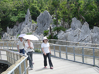 20050830_580_thumb.jpg