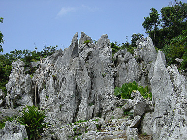 20050830_590_thumb.jpg