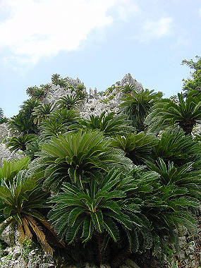 20050830_600_thumb.jpg
