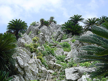 20050830_610_thumb.jpg