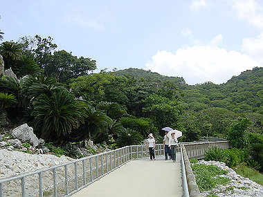 20050830_620_thumb.jpg