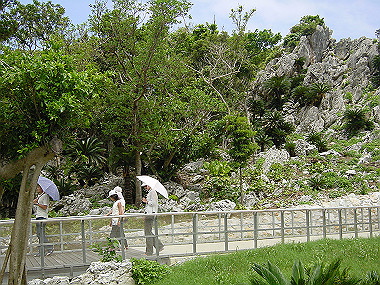 20050830_640_thumb.jpg