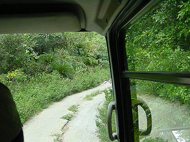 20050830_680_thumb.jpg