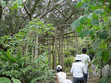 20050830_710_thumb.jpg