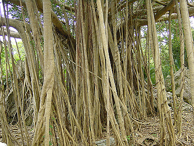 20050830_760_thumb.jpg
