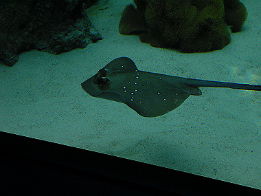 20050830_880_thumb.jpg