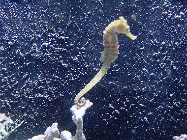 20050830_980_thumb.jpg