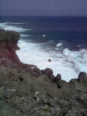 20050830_e10_thumb.jpg