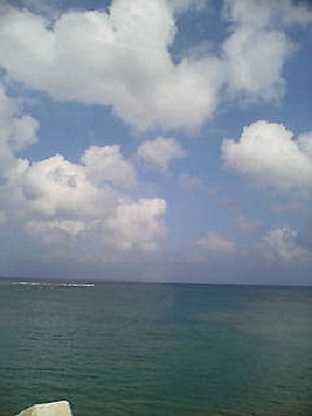 20050830_t15_thumb.jpg