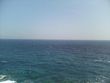 20050830_t25_thumb.jpg