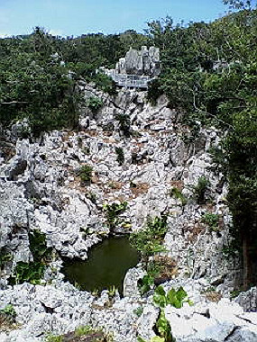 20050830_t45_thumb.jpg
