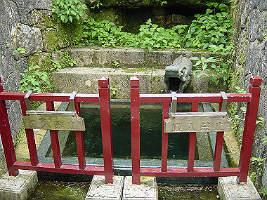 20050831_170_thumb.jpg