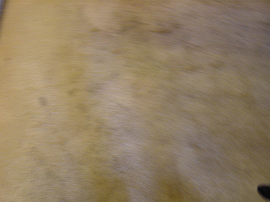 20050831_370_thumb.jpg