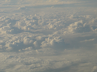 20050831_540_thumb.jpg