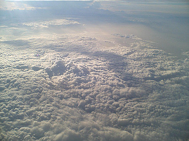 20050831_t50_thumb.jpg
