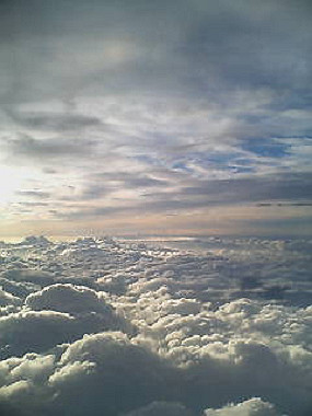 20050831_t55_thumb.jpg