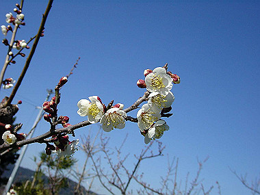 20060210_020_thumb.jpg