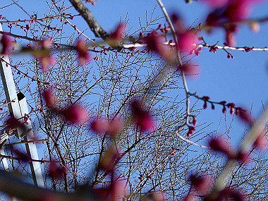 20060210_060_thumb.jpg