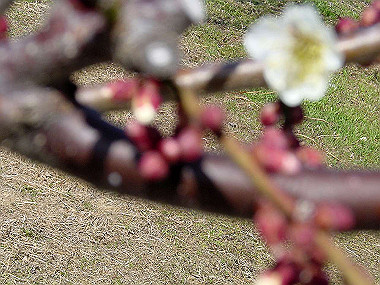 20060210_150_thumb.jpg