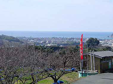 20060210_190_thumb.jpg