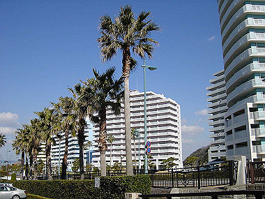 20060210_210_thumb.jpg