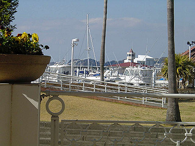 20060210_320_thumb.jpg