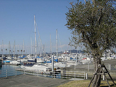 20060210_330_thumb.jpg