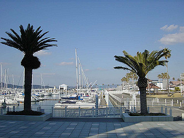 20060210_380_thumb.jpg