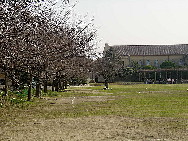 20060311_010_thumb.jpg