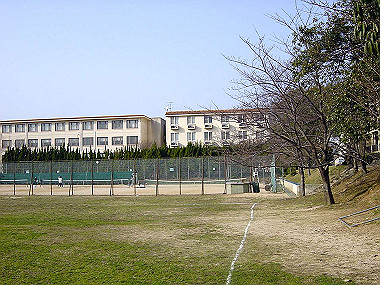 20060311_020_thumb.jpg