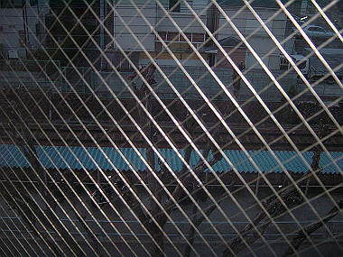 20060311_120_thumb.jpg