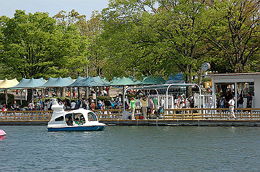 20060505-dsc_0981_thumb.jpg